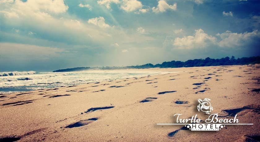 Turtle Beach Hotel Ujunggenteng 객실 사진